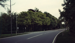 DIA30596 De Heveringseweg; ca. 1973