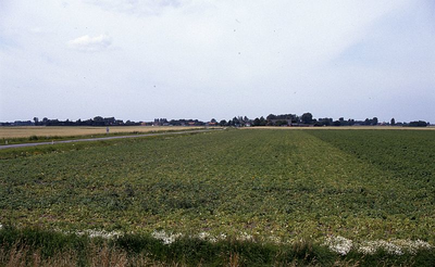 DIA35085 De Dorpsweg, gezien vanaf de Ruigendijk; ca. 1993