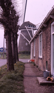 DIA36010 De molen van Rockanje; 1979
