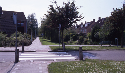 DIA36053 Het voetpad en singel achter de woningen langs de Esdoornstraat, gezien vanaf de Alardusdreef; ca. 1993