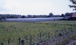 DIA36168 Kassen van Briggeman langs de Dwarsweg, gezien vanaf de Zeeweg; ca. 1993