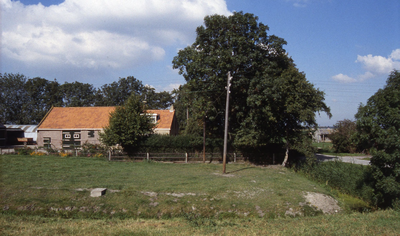 DIA36170 Boerderij langs de Merrevlietweg; ca. 1993