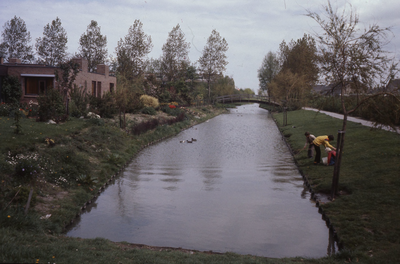 DIA36185 Kijkje vanaf de Alardusdreef naar de watering achter de Lindenhorst; ca. 1980