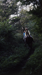 DIA36263 Paardrijden in het bos; ca. 1998