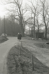DIA36301 Het Rondeweibos; 1962