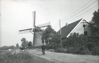 DIA36303 De Molendijk met de molen van Rockanje, op de fiets Oom Janus; 1954