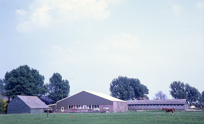 DIA39137 Hippisch centrum Simonshaven; ca. 1980