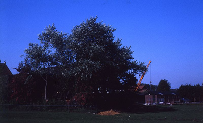 DIA39139 Kijkje op de Hogeweg vanaf de Lageweg; ca. 1980