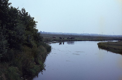 DIA39214 Watering langs de Garsdijk; ca. 1985