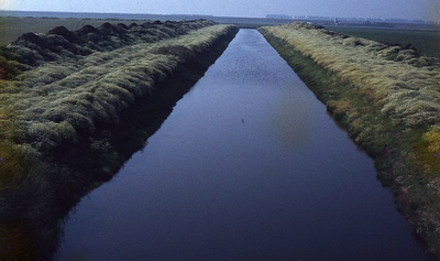 DIA39215 Watering langs de Garsdijk; ca. 1985