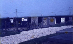DIA39239 De begraafplaats rond de kerk van Simonshaven; ca. 1980