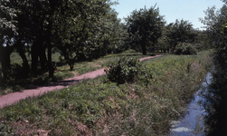 DIA40411 Laagstam fruitbomen in de boomgaard nabij de Kinderboerderij; 1 juli 1974