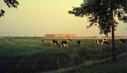 DIA41563 De eerste woningen aan de Eikenlaan verrijzen in de polder Braband; September 1963