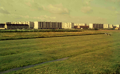 DIA41614 Gezicht vanaf de Molendijk op de flatwoningen aan de Leliestraat. Dura-Coignetwoningen; September 1963