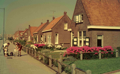 DIA41625 Woningen langs de Hoogwerfsingel; September 1963