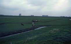 DIA42288 De polder rond Spijkenisse; ca. 1980
