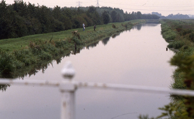 DIA42615 Vissen in de Vierambachtenboezem; Augustus 1990