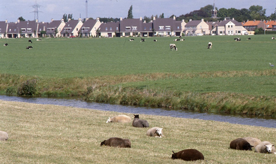DIA42683 Woningen langs de Groede, gezien vanaf de Hekelingseweg; Augustus 1990