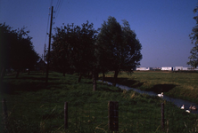 DIA42802 De Malledijk met bomen, elektriciteitspalen, zwanen en Halfweg 2; September 1988