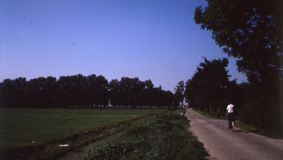 DIA42803 De Malledijk met de aanzet tot het vogelbos; September 1988