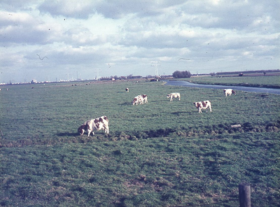 DIA42943 De Vierambachtenboezem gezien naar het noorden; ca. 1965
