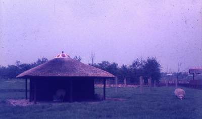 DIA43227 Kinderboerderij De Trotse Pauw; 1972