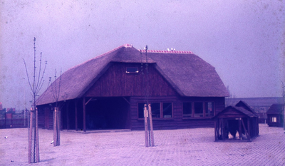 DIA43231 Kinderboerderij De Trotse Pauw; 1972