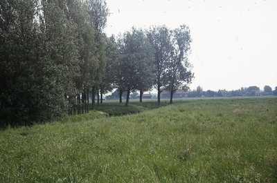 DIA43918 Het Mallebos; ca. 1978