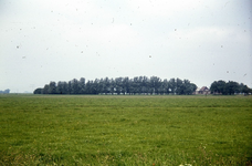 DIA43940 Woningen langs de Malledijk; ca. 1978