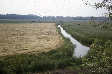 DIA43948 Kijkje vanaf de Slikweg naar Sterrenkwartier; ca. 1978