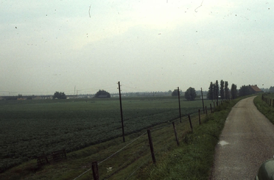 DIA43955 De Korte Schenkeldijk; ca. 1978