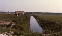 DIA44061 Het terrein waar het ziekenhuis Ruwaard van Putten is geprojecteerd; ca. 1984