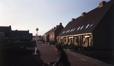 DIA44186 De Schopvoorde; Februari 1982