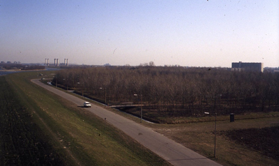 DIA44218 Het Hartelpark en de Markenburg met op de achtergrond de Spijkenisserbrug; Februari 1983