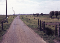 DIA44615 Hooibalen in de polder, vermoedelijk aan de Meeldijk; ca. 1969