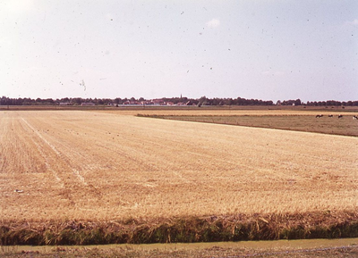 DIA69524 De polder rond Zuidland, graan is van het land; ca. 1970