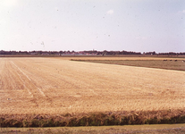 DIA69524 De polder rond Zuidland, graan is van het land; ca. 1970