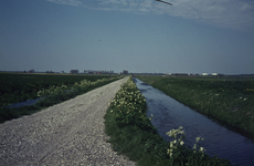 DIA70020 Polder in het voorjaar; 1973