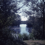 DIA_GF_1008 Kijkje op de Tenellaplas; 31 augustus 1962