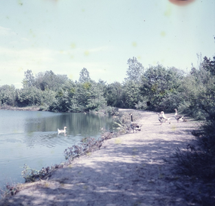 DIA_GF_1038 Kijkje op de Tenellaplas; 19 augustus 1962