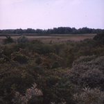 DIA_GF_1231 Het Brede Water vanaf het uitzichtpunt; 6 augustus 1974