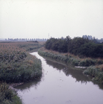 DIA_GF_1250 Overblijfsel van de oude Bernisse (vanaf de Toldijk in de richting van de Groene Kruisweg); 2 september 1975