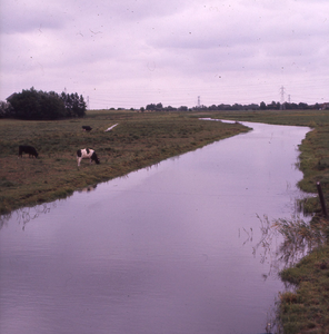DIA_GF_1274 De Holle Mare bij Zwartewaal vanaf de Groene Kruisweg; 28 juli 1976