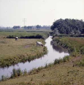 DIA_GF_1296 Restant van de Holle Mare, gezien vanaf de oorspronkelijke afsluitdam tussen de Rijswaardse Dijk en de ...