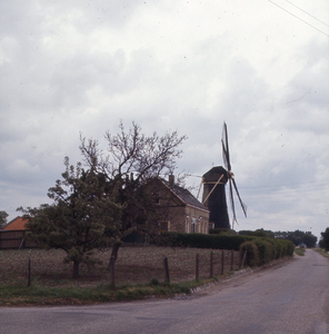 DIA_GF_1322 De molendijk met de korenmolen van Oostvoorne vanuit het westen; 26 juli 1977