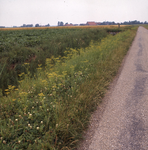 DIA_GF_1337 De polder Nieuwe Gote, gezien vanaf de Werfhoek; 28 juli 1977