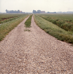 DIA_GF_1350 In de polder Zwartewaal. De (verdwenen) Groene Weg vanaf de Klinkerse Weg in de richting van de Holle Mare. ...