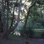 DIA_GF_1379 Het Quackjeswater vanaf de picknickplaats; 11 juli 1979