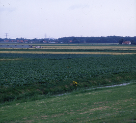 DIA_GF_1387 Het landschap tussen Brielle en Oostvoorne vanaf het fietspad van de Brielse Maasroute; 1 augustus 1979