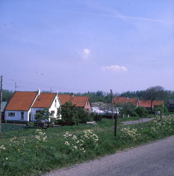 DIA_GF_1402 Tuinderwoningen langs de Heindijk; 16 mei 1980